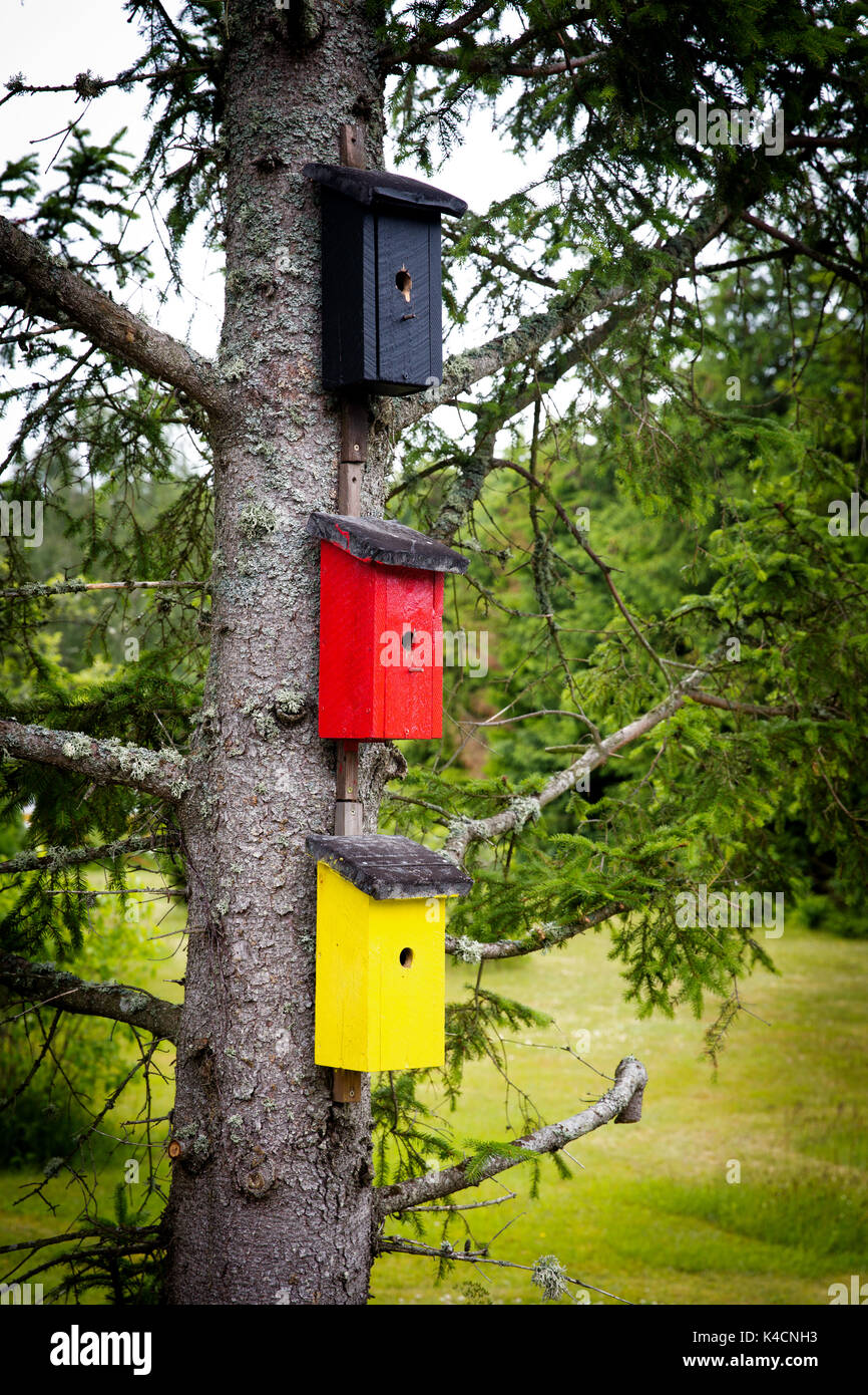 Scatole di nido in Germania colori nero, rosso, oro Foto Stock