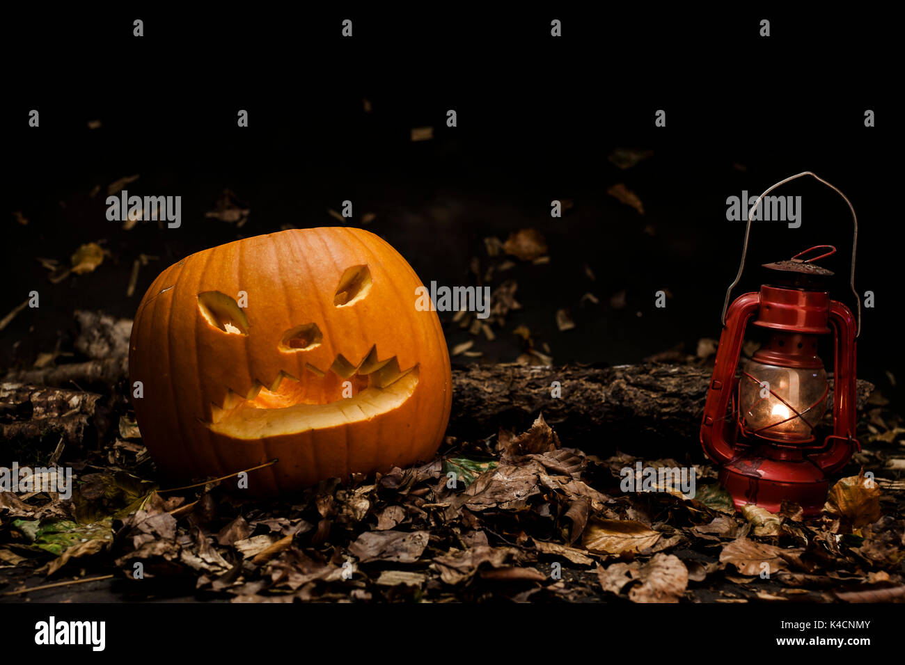 Zucca di Halloween con la lanterna sul fogliame, Studio Shot Foto Stock