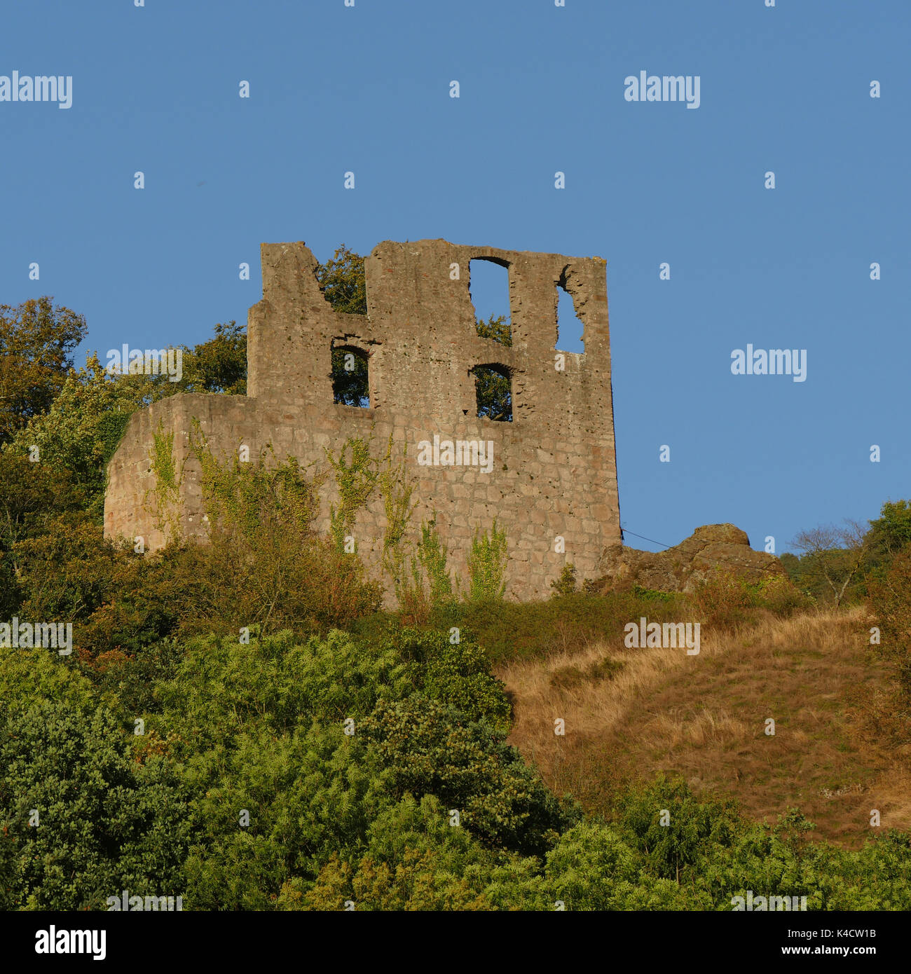 Il Castello di Falkenstein, sopra il villaggio Falkenstein a Donnersberg, Pfalz Foto Stock