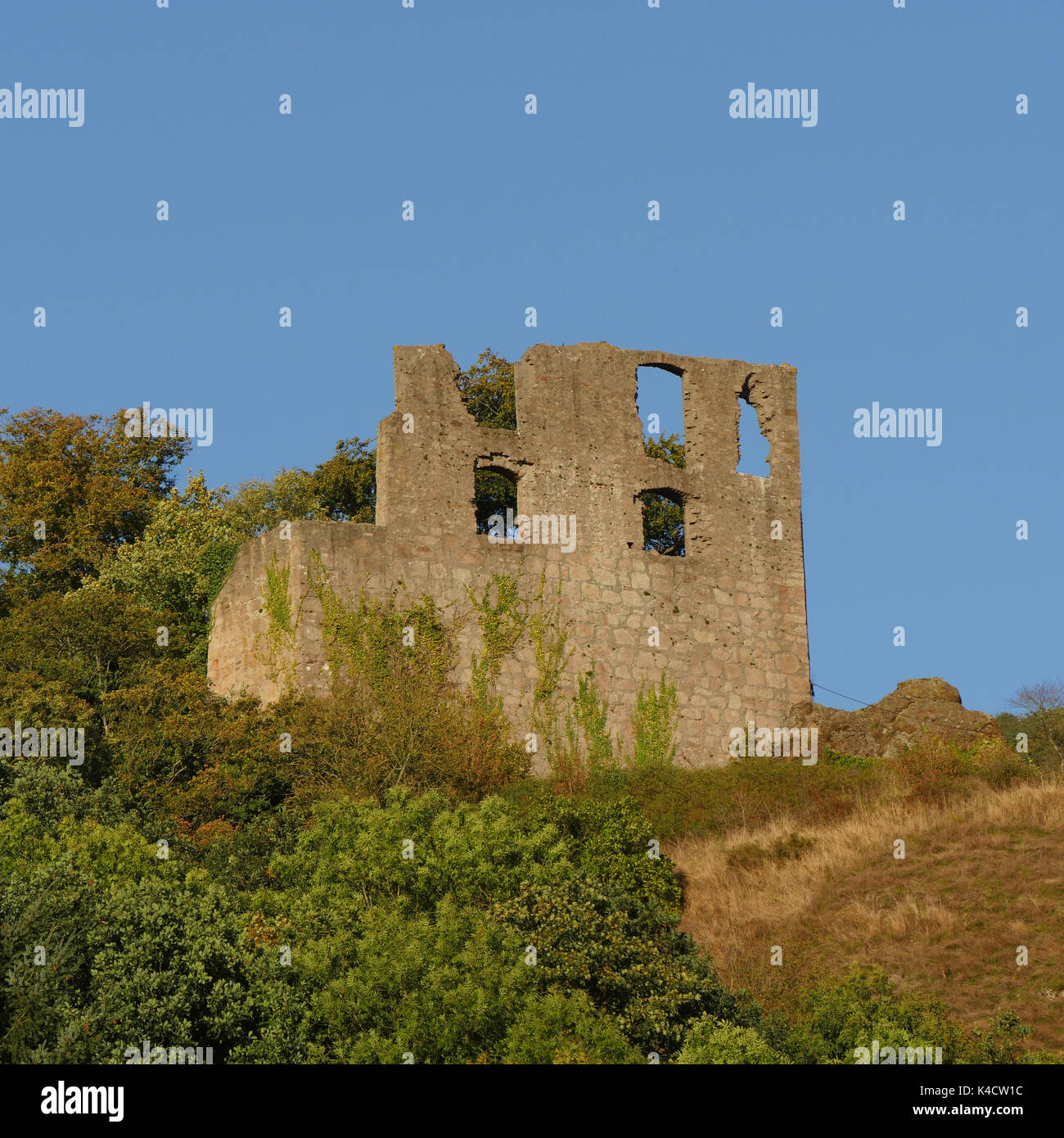 Il Castello di Falkenstein, sopra il villaggio Falkenstein a Donnersberg, Pfalz Foto Stock