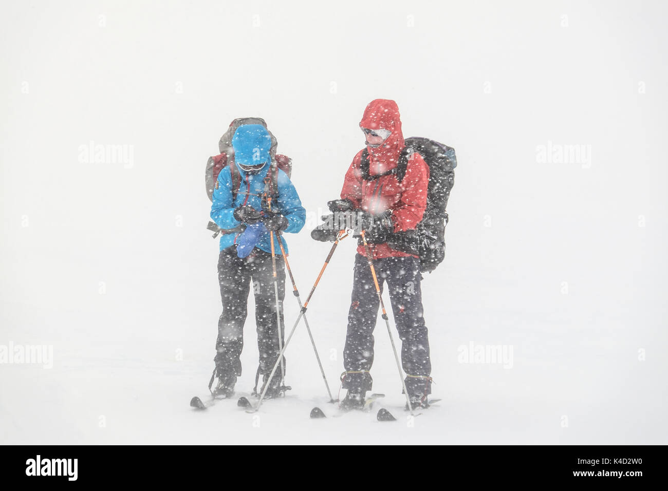 Due gli sciatori cercando di navigare in pesante caduta di neve, Norvegia Foto Stock