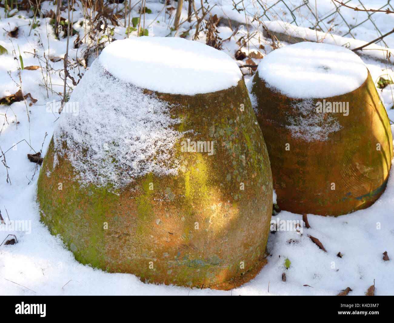 Ancora vita Winterly Garden Foto Stock