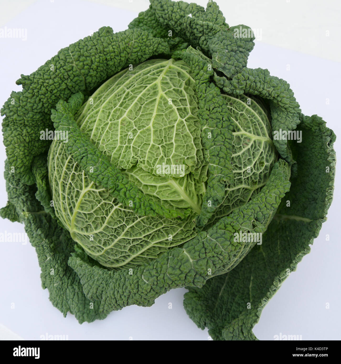 Verza Foto Stock