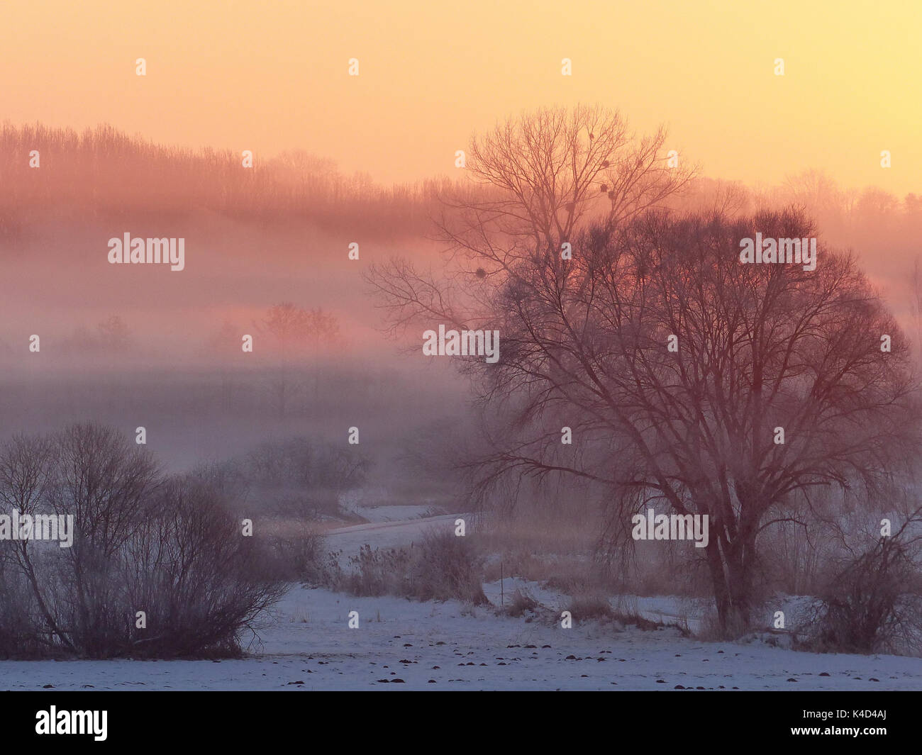 Sunrise in ampermoss, sulla valle del fiume fen vicino ammersee in Alta Baviera Foto Stock