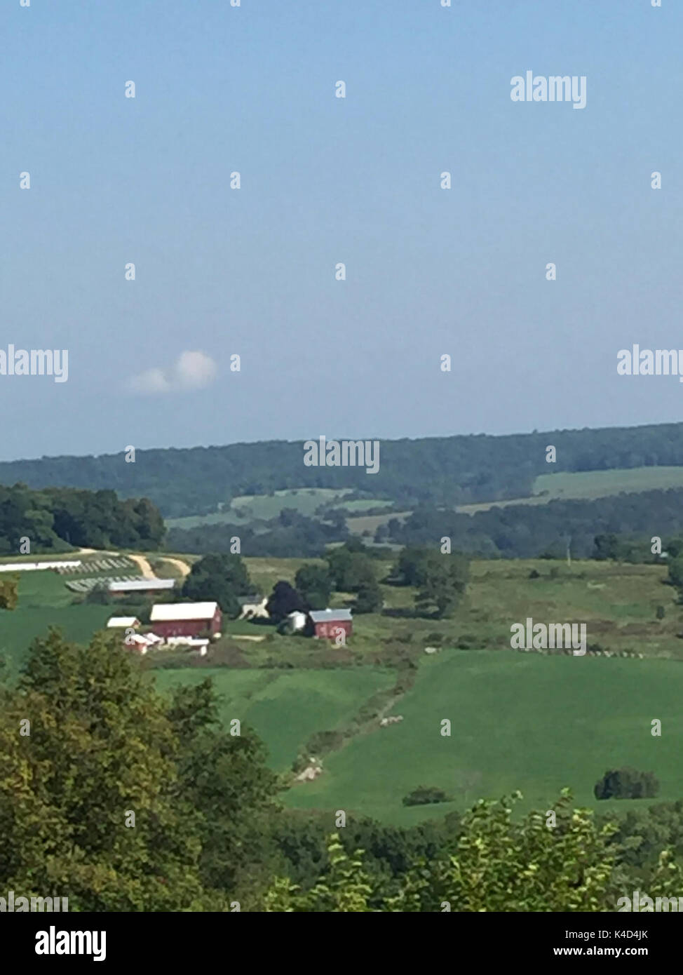 Aziende come si vede da una scenografica affluenza alle urne Foto Stock