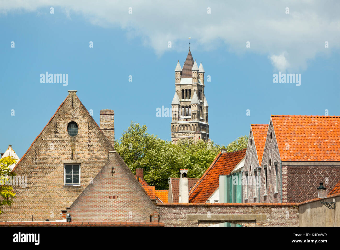 Il sint Salvator Cattedrale (San Salvatore Cattedrale) in Bruges visto dietro alcune case medievali. Foto Stock Il sint Salvator Cattedrale (San Salvatore Cattedrale) in Bruges visto dietro alcune case medievali. Foto Stock