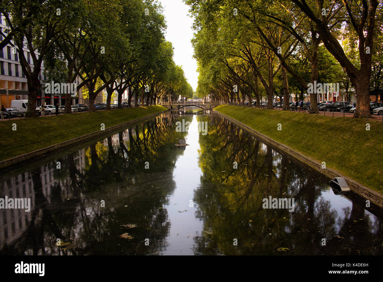 Belle e famose attrazioni turistiche di Dusseldorf: Konigsallee. Si tratta di un ambiente urbano boulevard da grandi alberi e chiudono alla fine di via d'acqua. Foto Stock