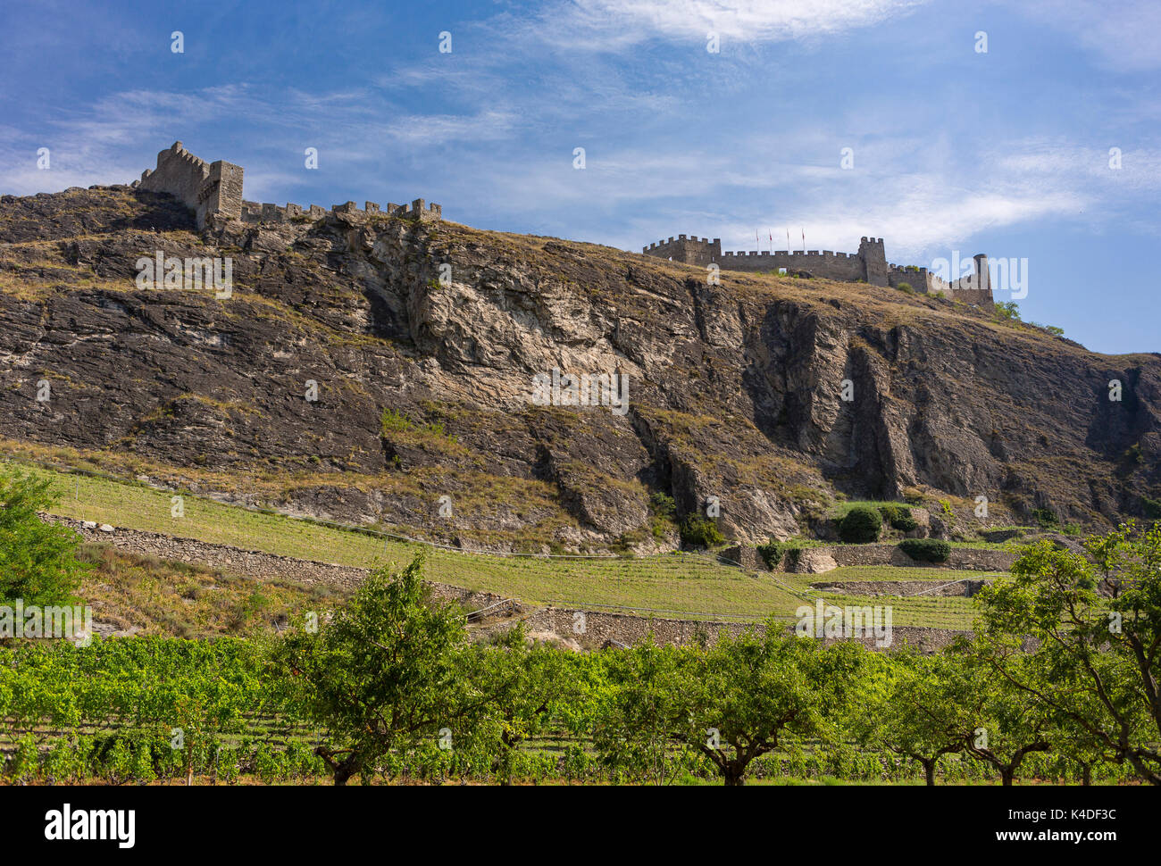 SION, Svizzera - vigneti di uve e Tourbillon Castello sulla cresta. Foto Stock