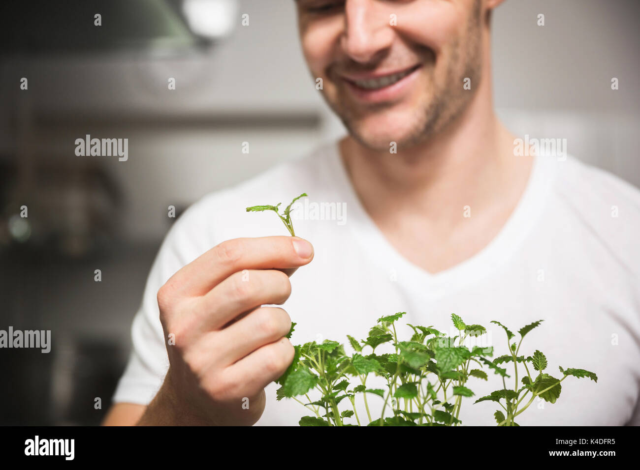 Ritagliato ritratto di felice chef holding pezzo di melissa Foto Stock