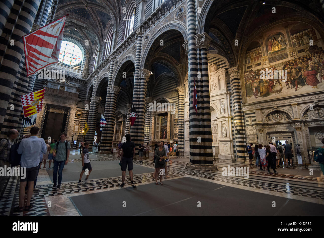 All'interno di Siena Catedral, Siena Toscana Italia Europa UE Foto Stock