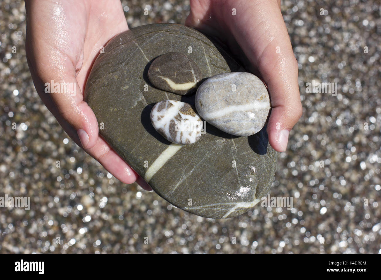 Grande umido grigio pietra del mare nelle mani Foto Stock