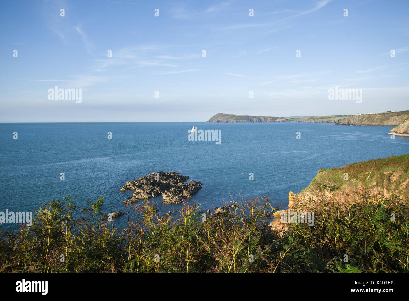 Pembrokeshire paesaggio Foto Stock