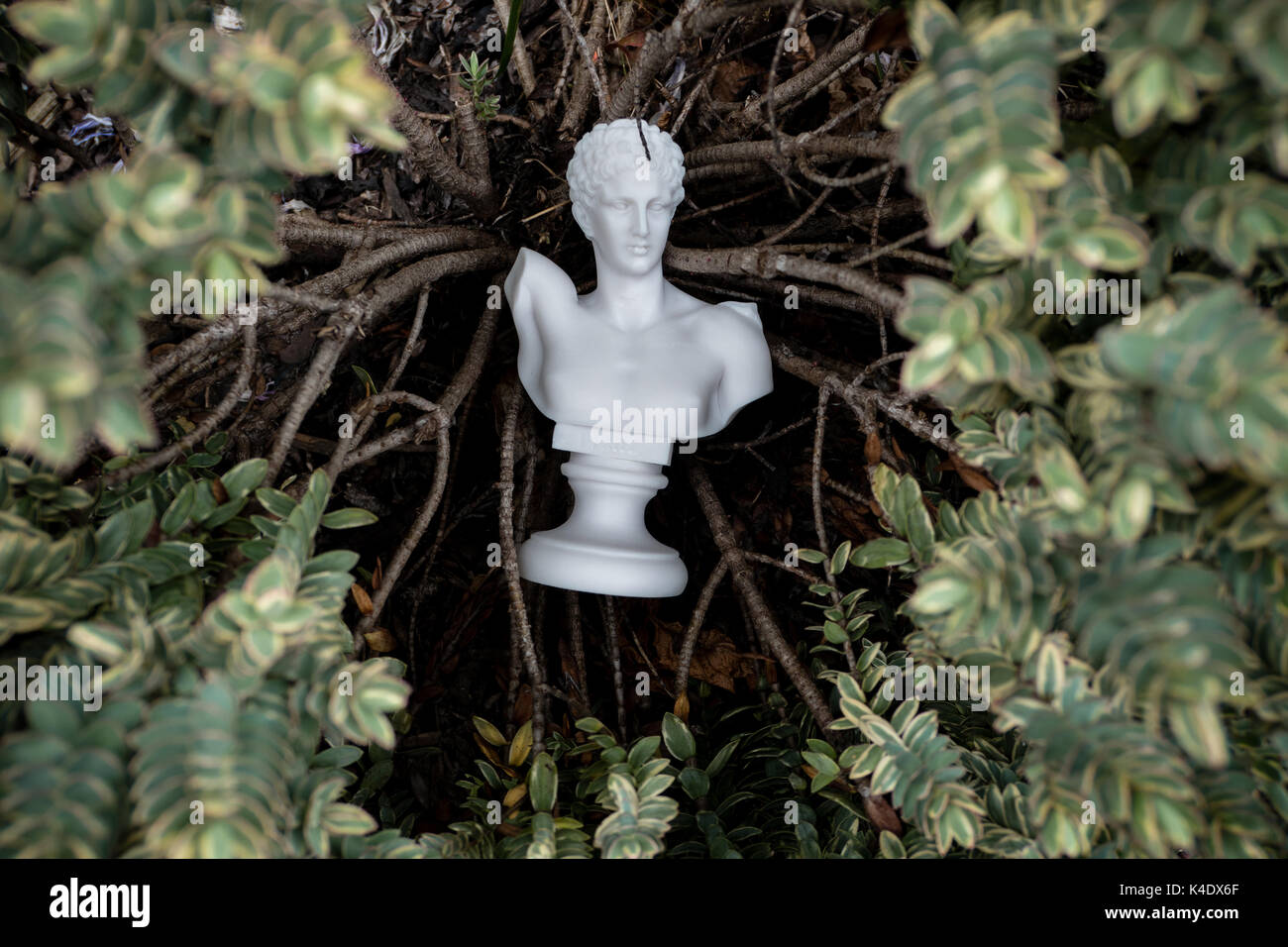 Busto di hermes posa in arbusti Foto Stock