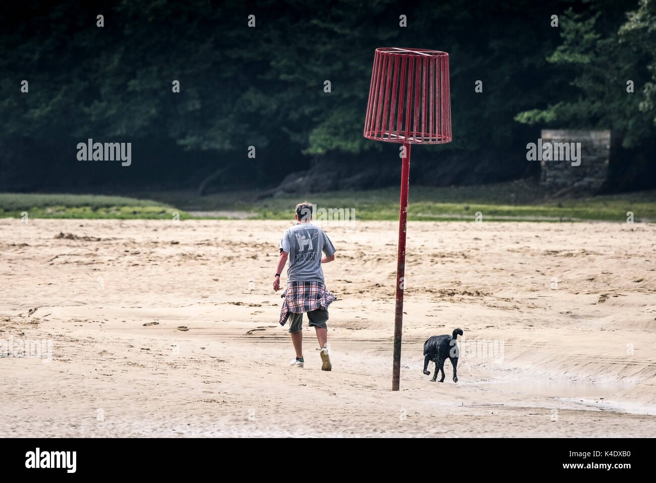 Gannel estuary - un uomo e il suo cane a camminare attraverso la parte esposta del letto del fiume del fiume gannel a bassa marea in Newquay, Cornwall. Foto Stock