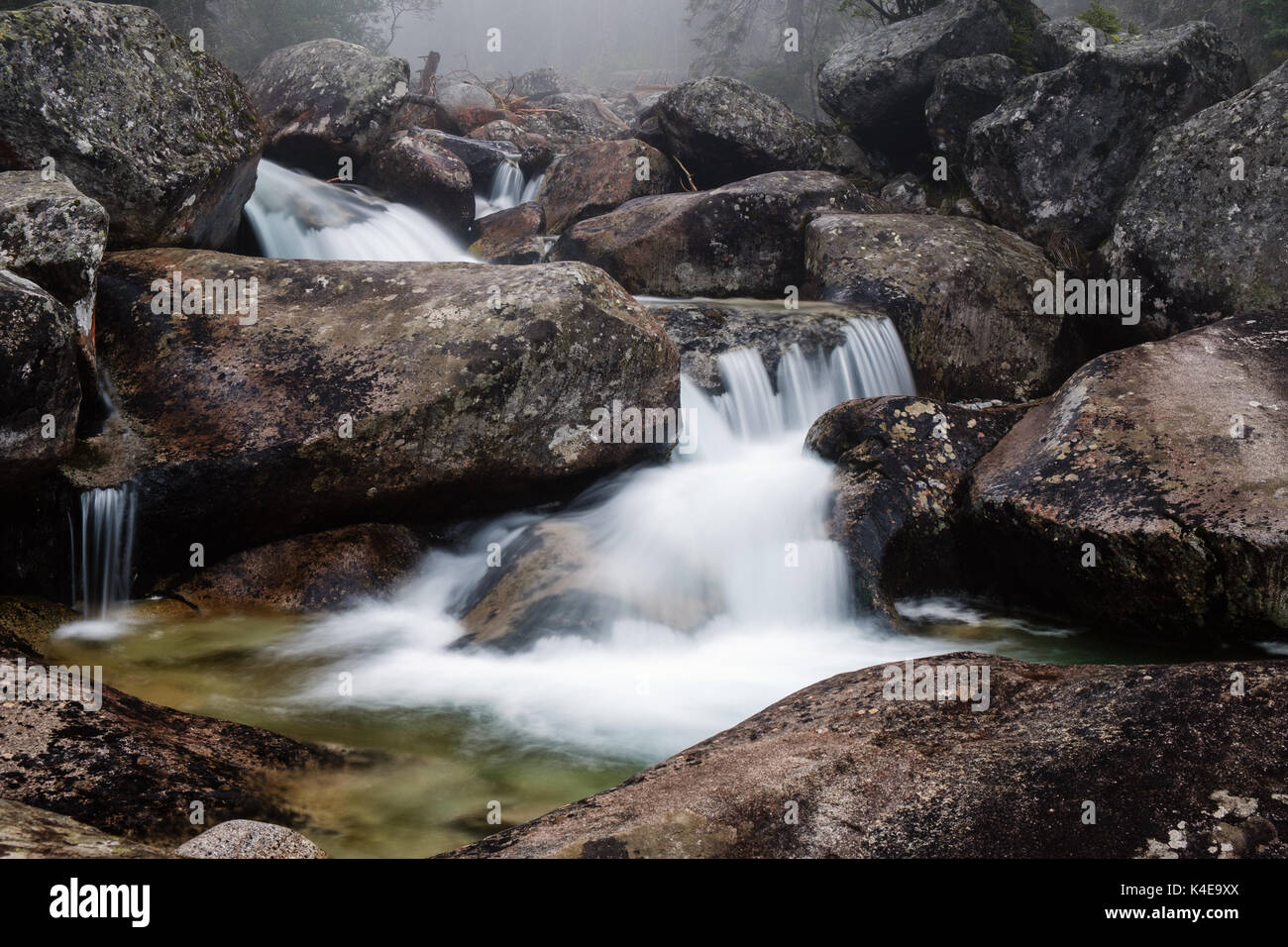 Nebbioso giorno vicino alla cascata di Studeny potok stream nel Parco Nazionale Monti Tatra, Slovacchia Foto Stock