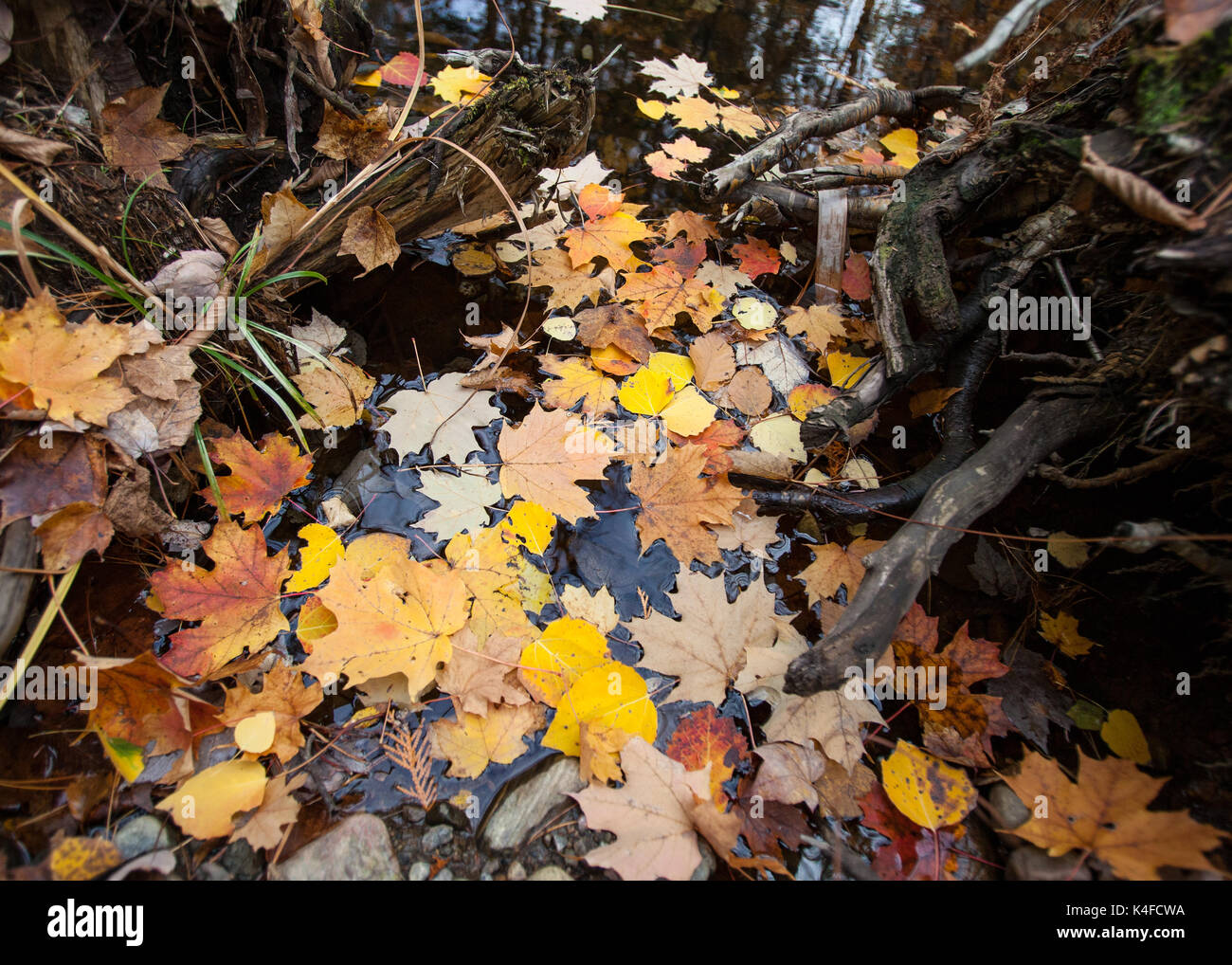 Appena galleggianti intorno Foto Stock
