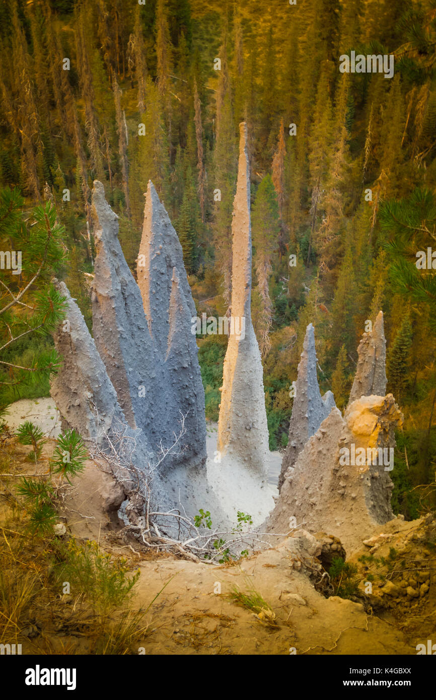 Vulcanica fumarole fossili nel parco nazionale di Crater Lake, bocchette di gas prima del crollo di Mt. Mazama Foto Stock