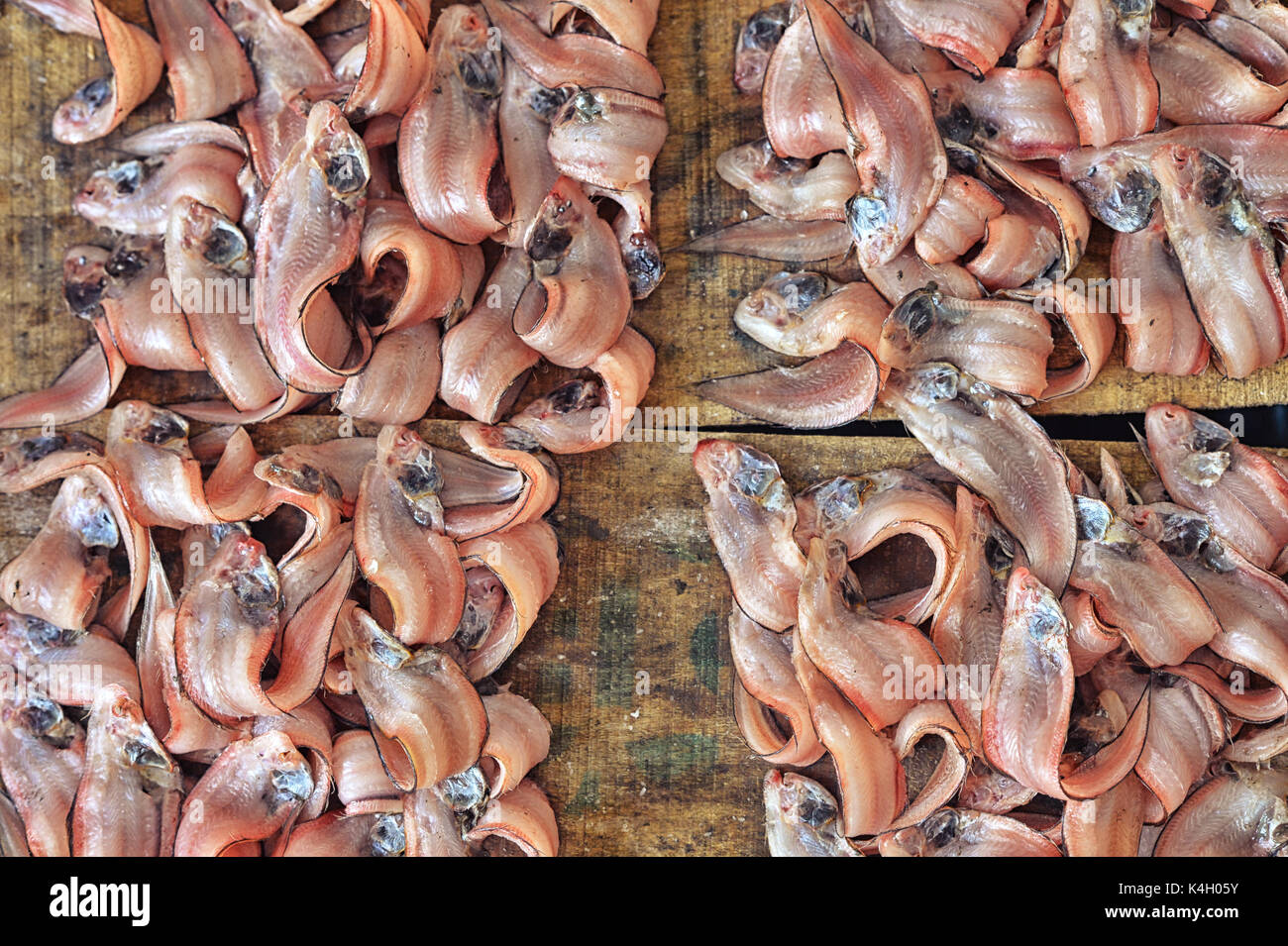 Vista ravvicinata di pesce fresco che vendono sul mercato Foto Stock