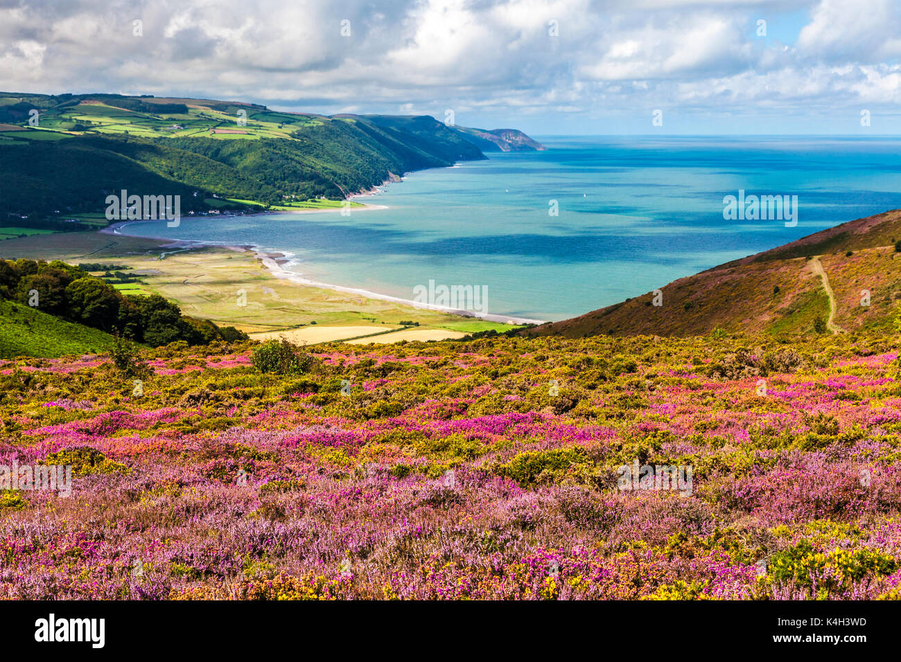 La vista sulla baia di Porlock nel Parco Nazionale di Exmoor,Somerset. Foto Stock