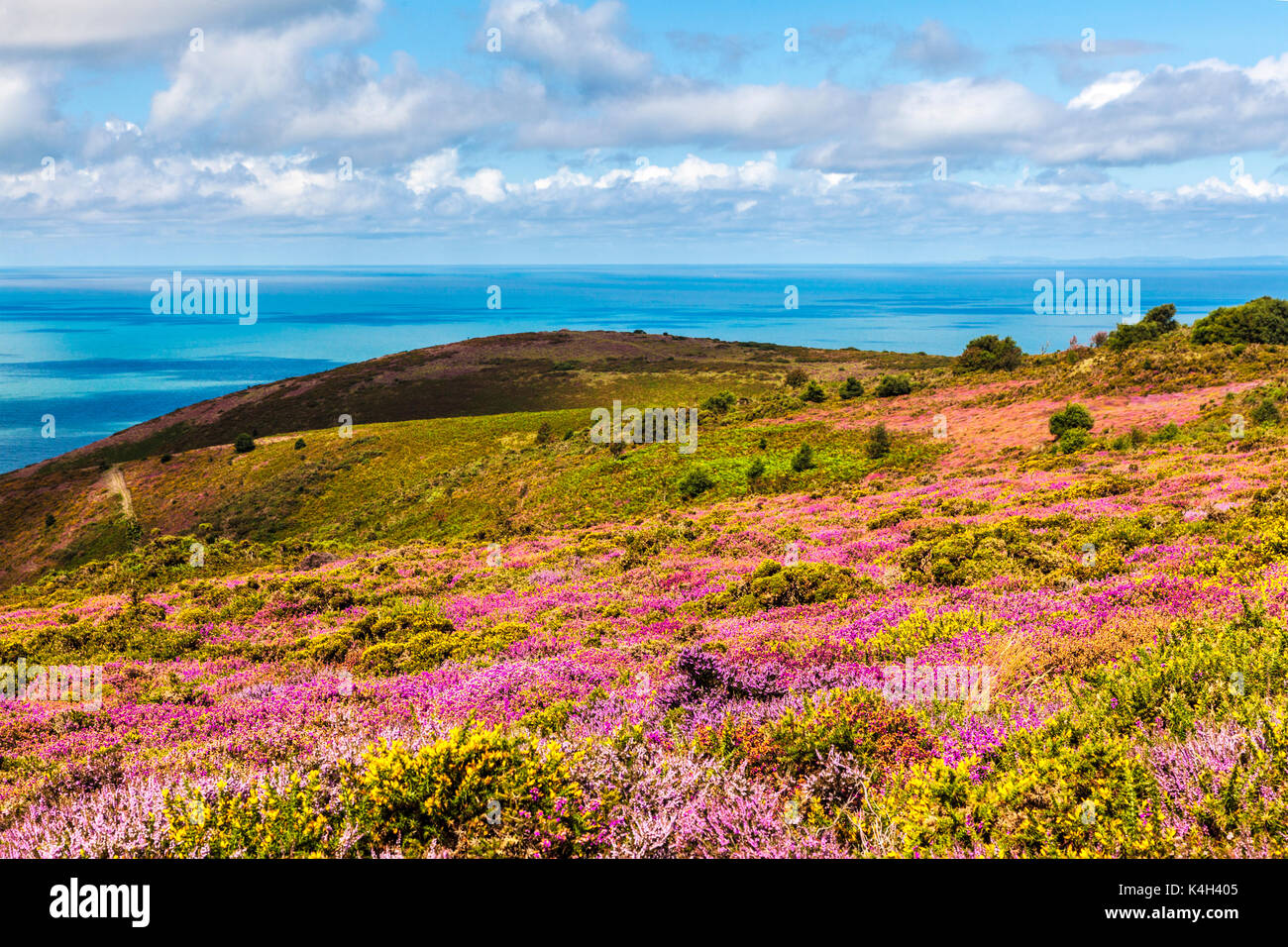 La vista dalla collina Bossington nel Parco Nazionale di Exmoor,Somerset. Foto Stock