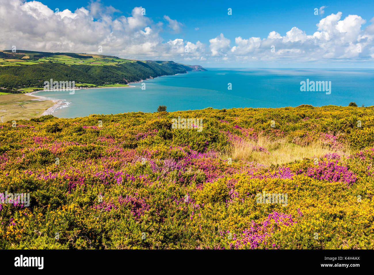 La vista sulla baia di Porlock nel Parco Nazionale di Exmoor,Somerset. Foto Stock