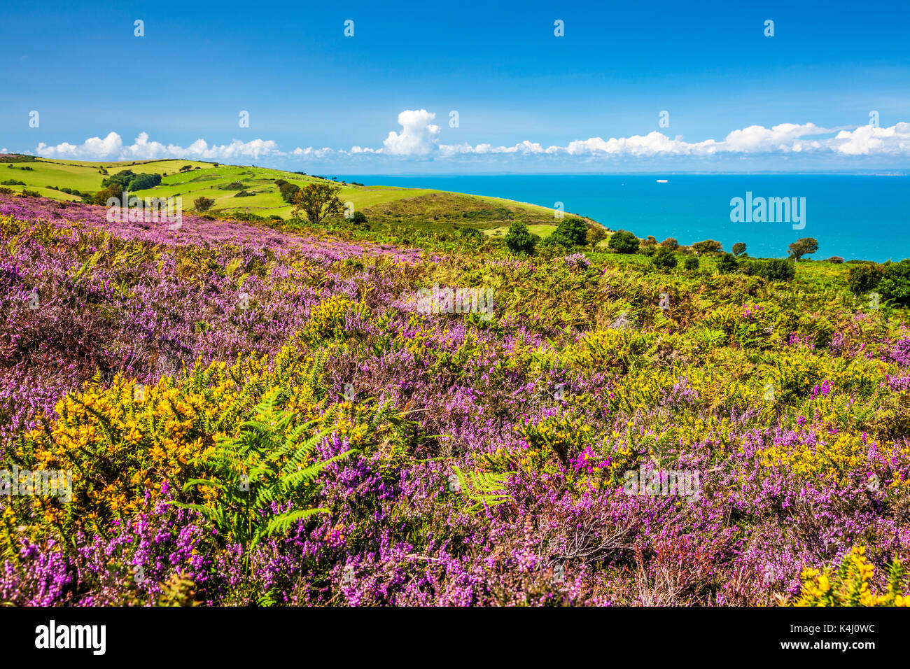 La vista sul Canale di Bristol dalla costa sud-ovest percorso nel Parco Nazionale di Exmoor,Somerset. Foto Stock