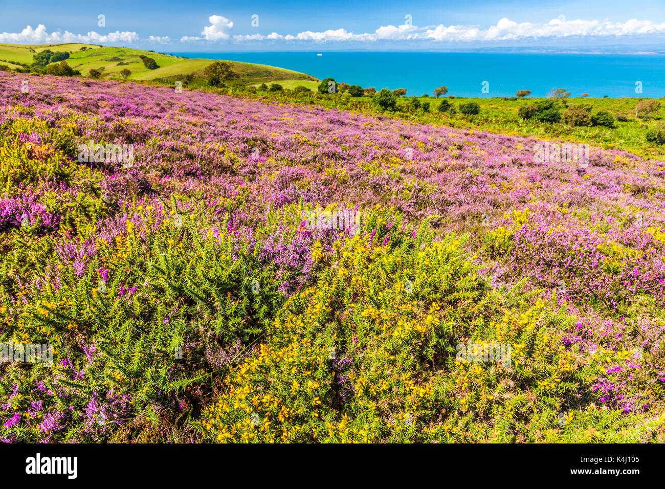 La vista sul Canale di Bristol dalla costa sud-ovest percorso nel Parco Nazionale di Exmoor,Somerset. Foto Stock