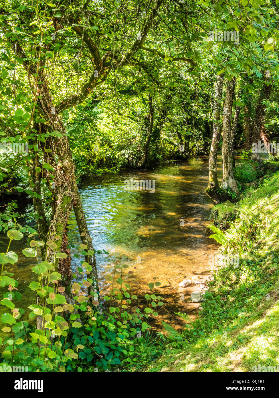 Il fiume Exe nel Parco Nazionale di Exmoor, Somerset. Foto Stock