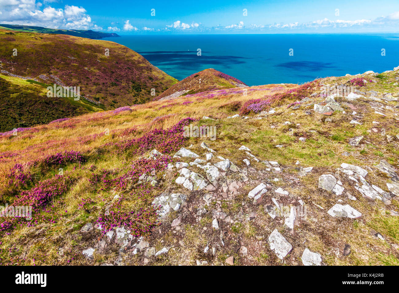 La vista sul Canale di Bristol dalla costa sud-ovest percorso nel Parco Nazionale di Exmoor,Somerset. Foto Stock