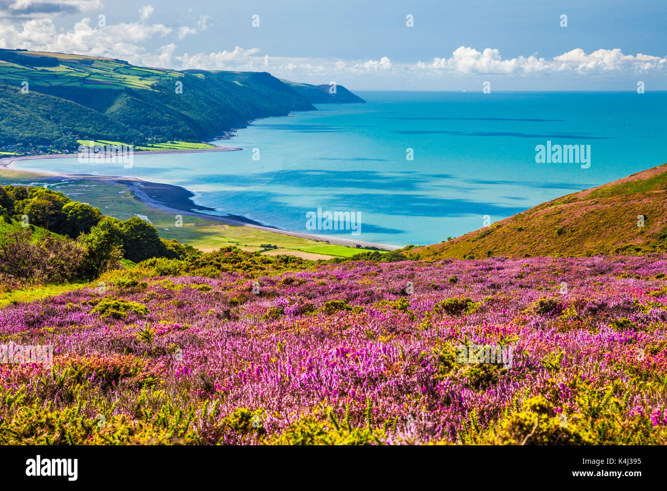 La vista sulla baia di Porlock nel Parco Nazionale di Exmoor,Somerset. Foto Stock