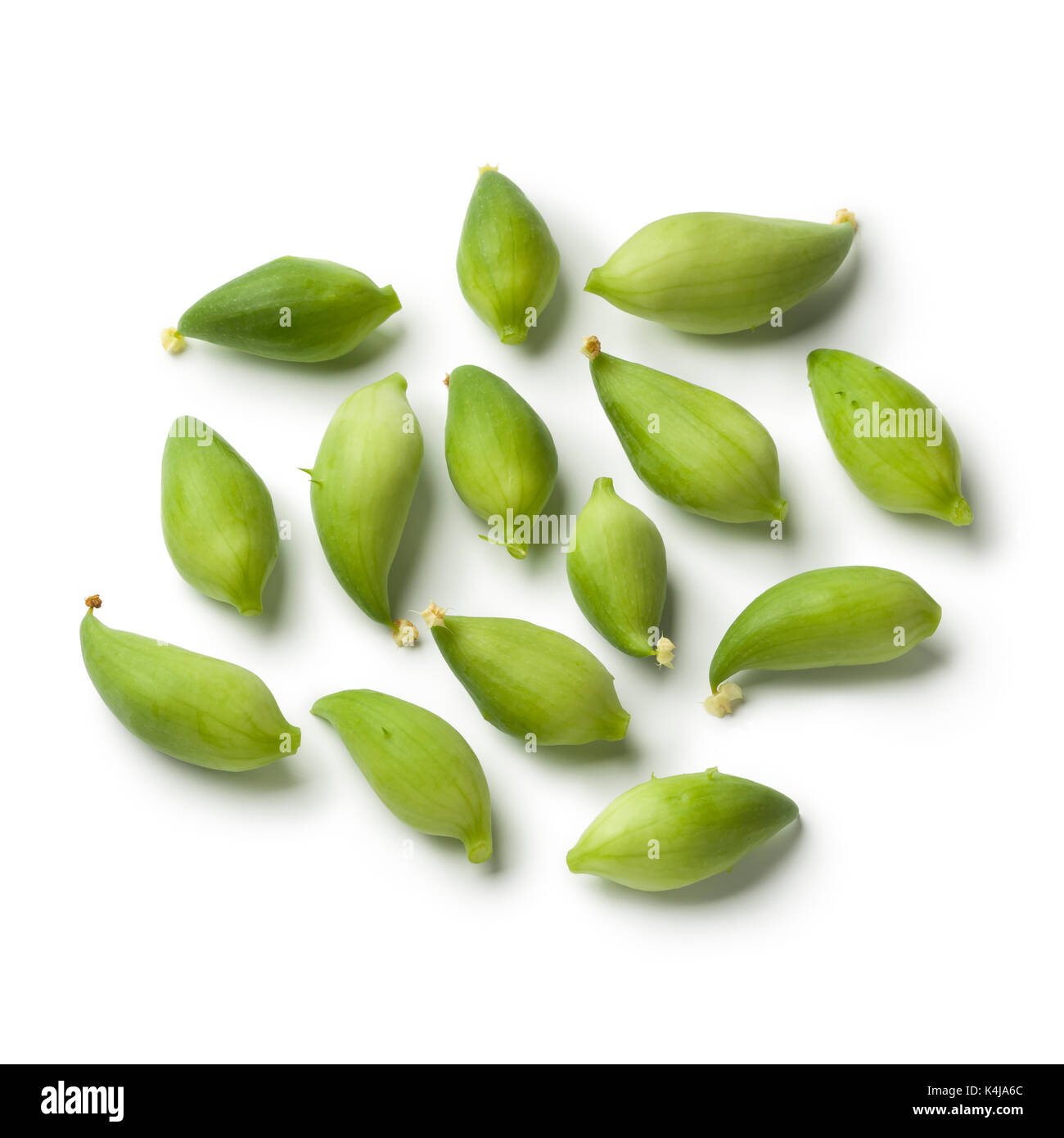 Verde biologico cimelio di famiglia wild cetrioli su sfondo bianco Foto Stock