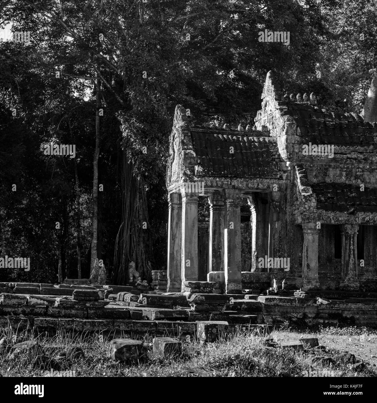 Rovine del tempio, krong siem reap, siem reap, Cambogia Foto Stock