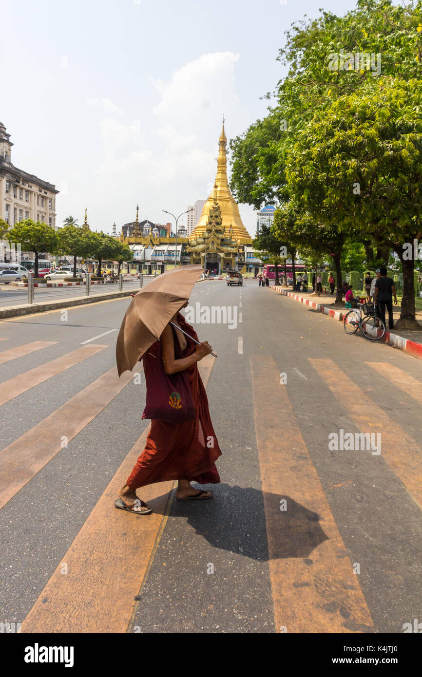 Monaco attraversando la strada con sule pagoda in background, Yangon, myanmar, Rangoon, Birmania Foto Stock
