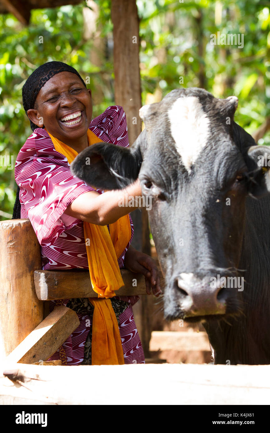 Una donna sorridente accanto alla sua mucca, Uganda, Africa Foto Stock