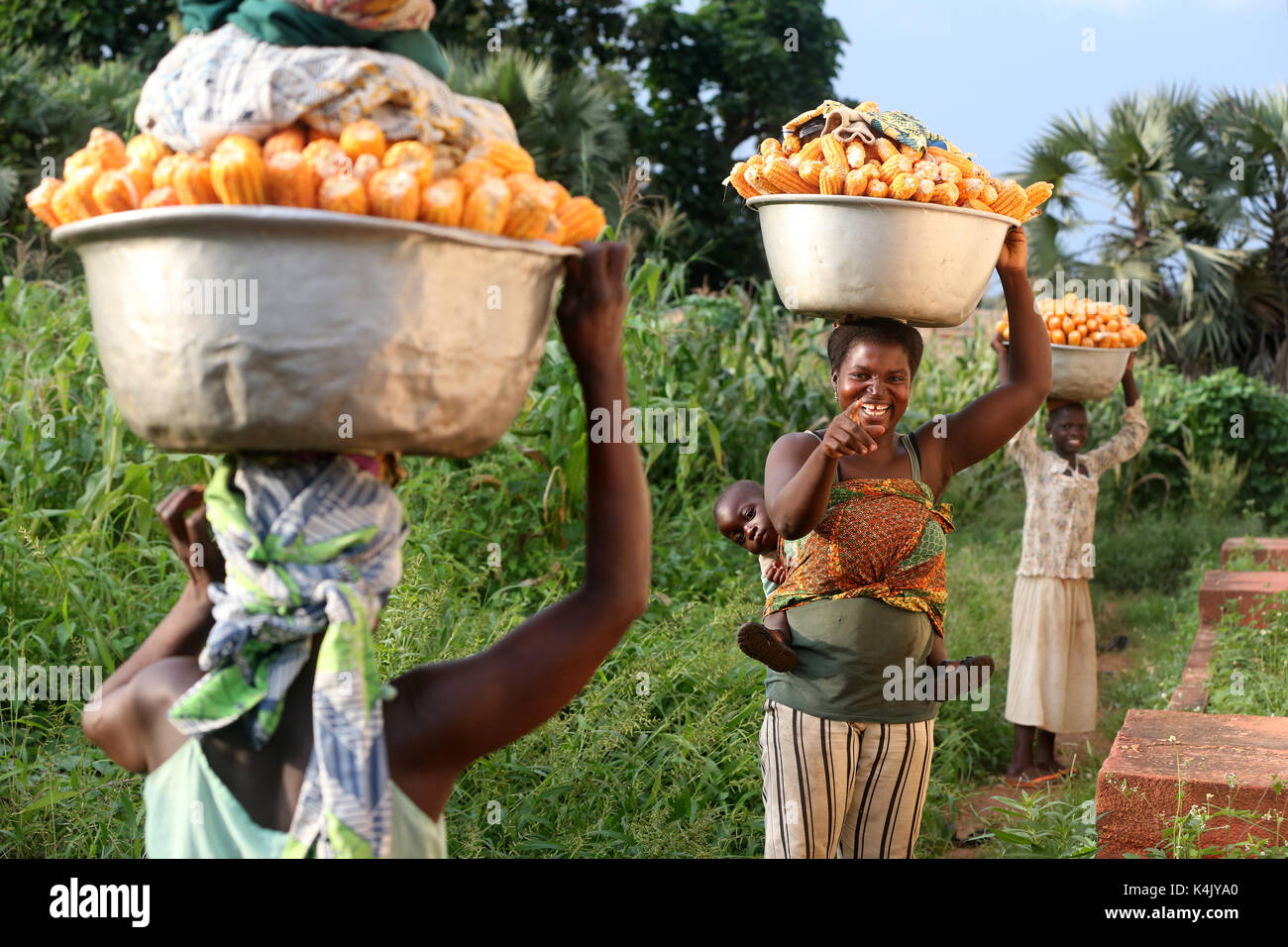 Le donne che trasportano piatto con il mais sulla testa, sotouboua, Togo, Africa occidentale, Africa Foto Stock