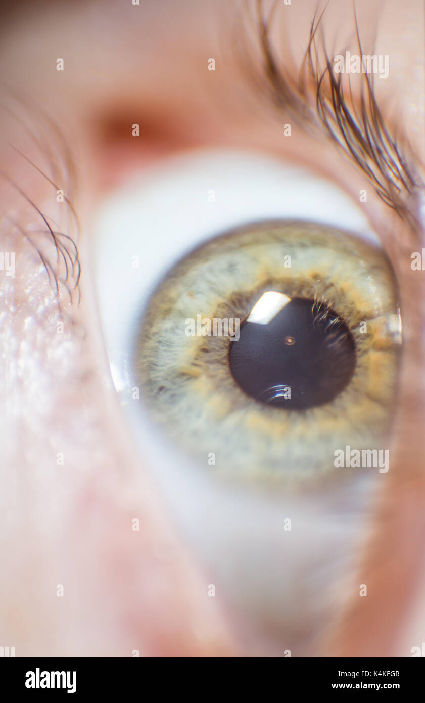 Un bel primo piano di un multicolore occhio umano con una profondità di campo ridotta. Foto Stock