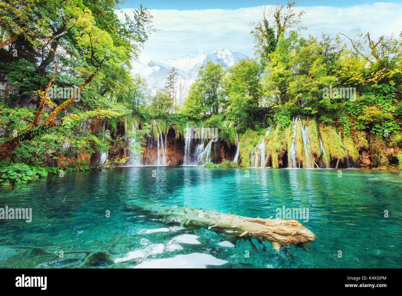 Una foto dei pesci che nuotano in un lago, preso nel parco nazionale dei Laghi di Plitvice in Croazia Foto Stock
