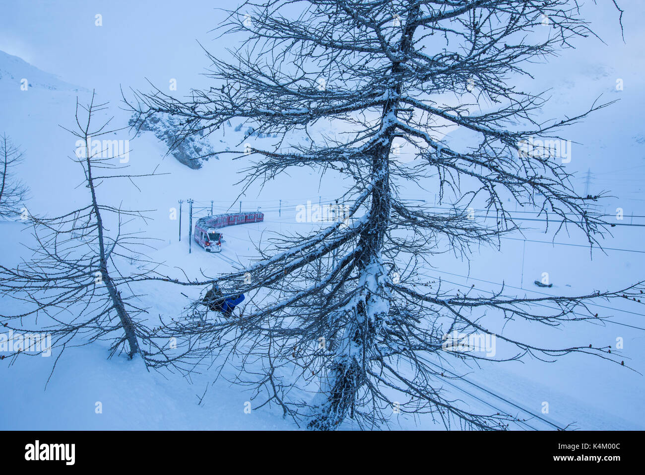 Bernina Express al Passo Bernina del Cantone dei Grigioni Svizzera Europa Foto Stock