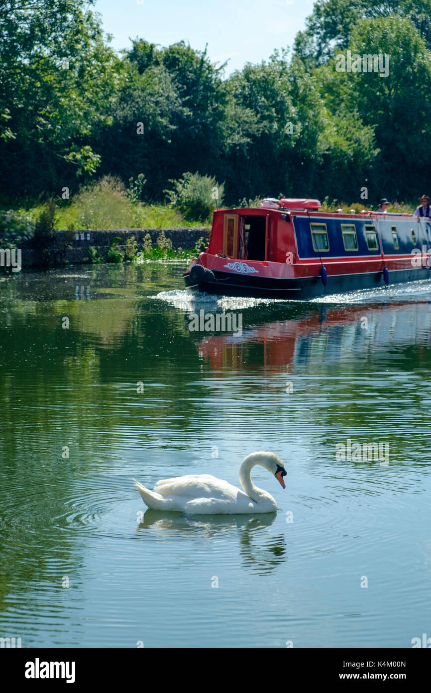 Gloucester e Nitidezza Canal at Purton Gloucestershire England Regno Unito Foto Stock