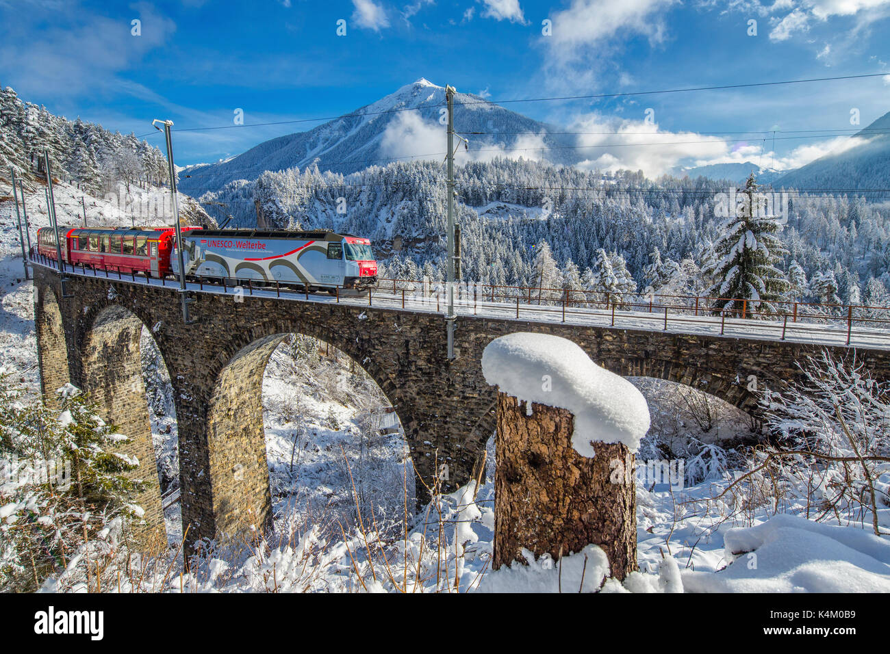 Bernina Express passa attraverso i boschi innevati intorno a Filisur Cantone dei Grigioni Svizzera Europa Foto Stock