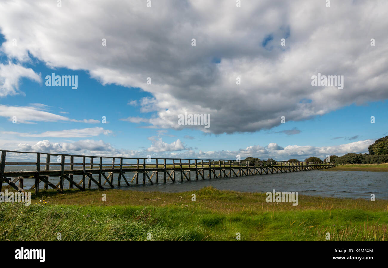 Una passerella di legno su velme ad alta marea a a Aberlady Bay natura locale riserva, East Lothian costa, Scotland, Regno Unito Foto Stock