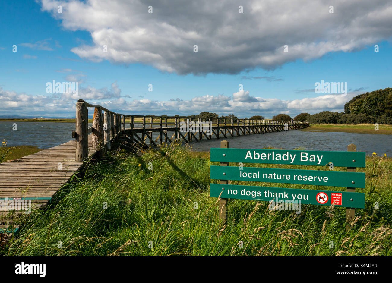 Passerella in legno su velme ad alta marea a a Aberlady Bay natura locale riserva, East Lothian, Scozia, con riserva naturale segno dicendo no cani Foto Stock