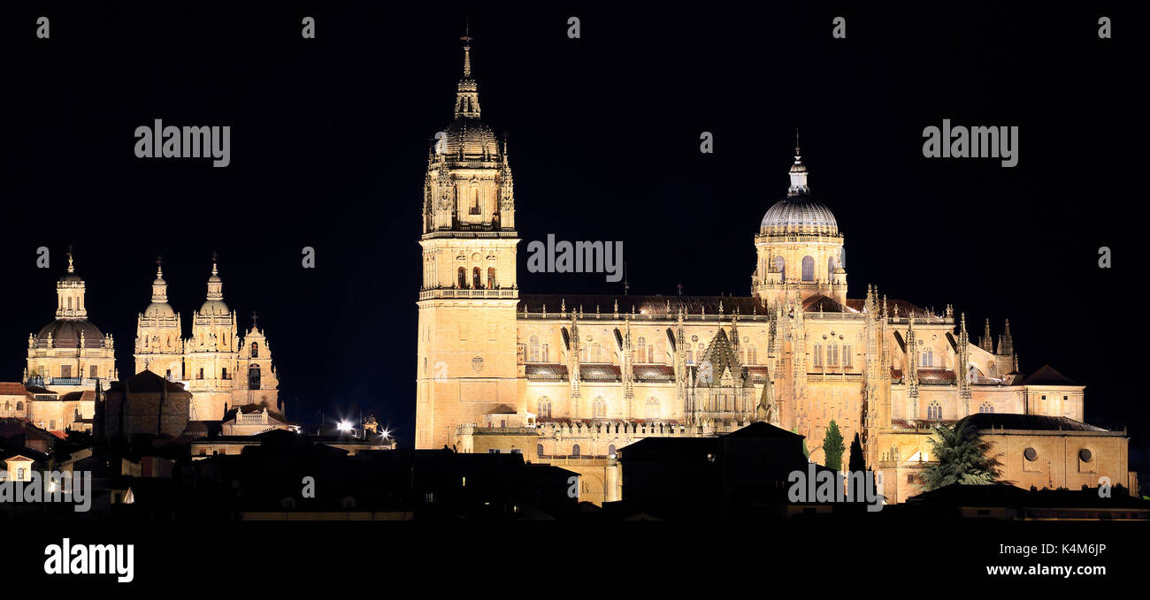 Salamanca vecchie e nuove cattedrali illuminata di notte, Spagna Foto Stock