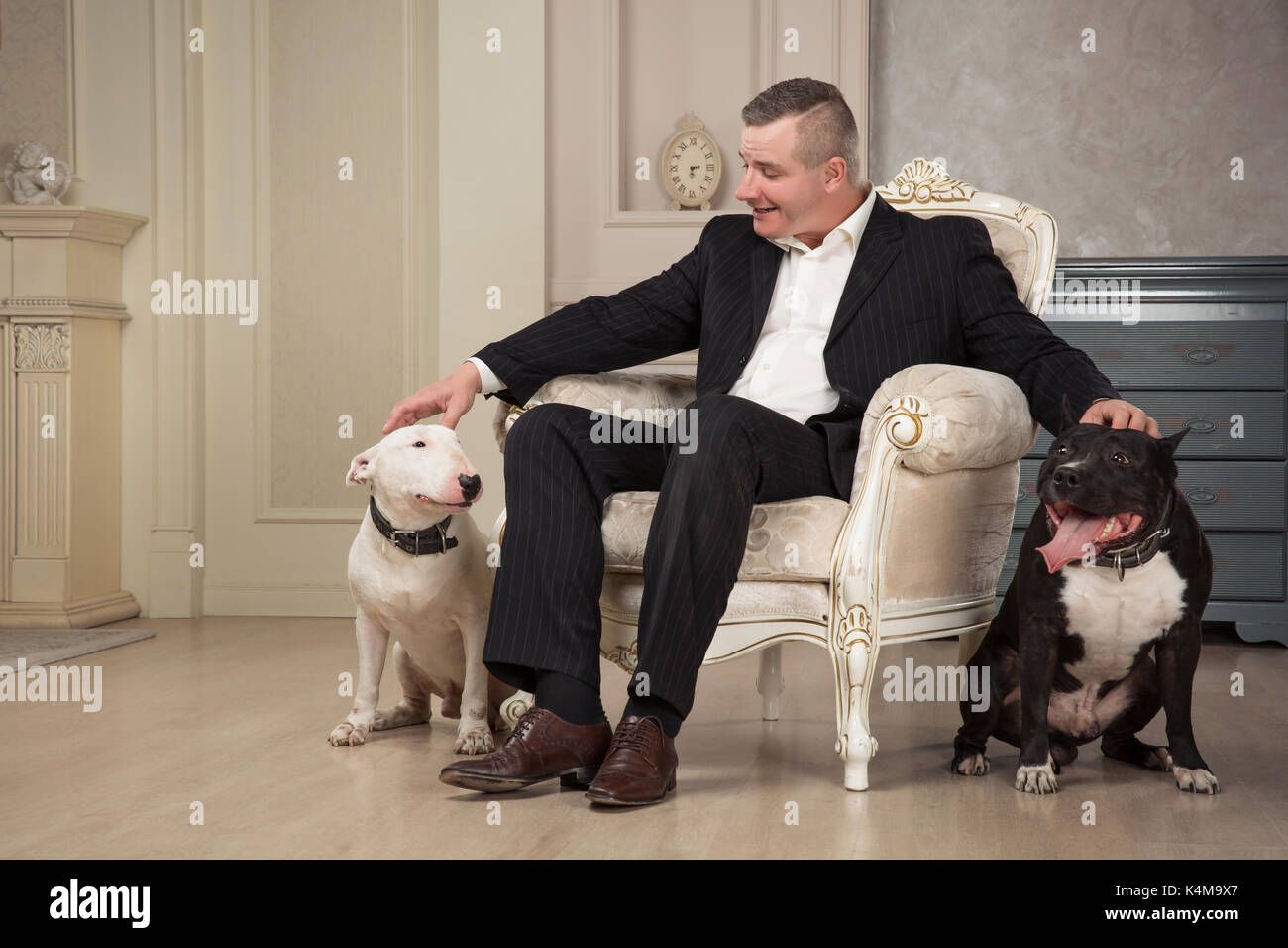 L'uomo proprietario del cane petting due cani. Black pit bull o staphorshire terrier e bianco sono bulterrier nell'annata di produzione interni. Cani seduti su entrambi i lati Foto Stock