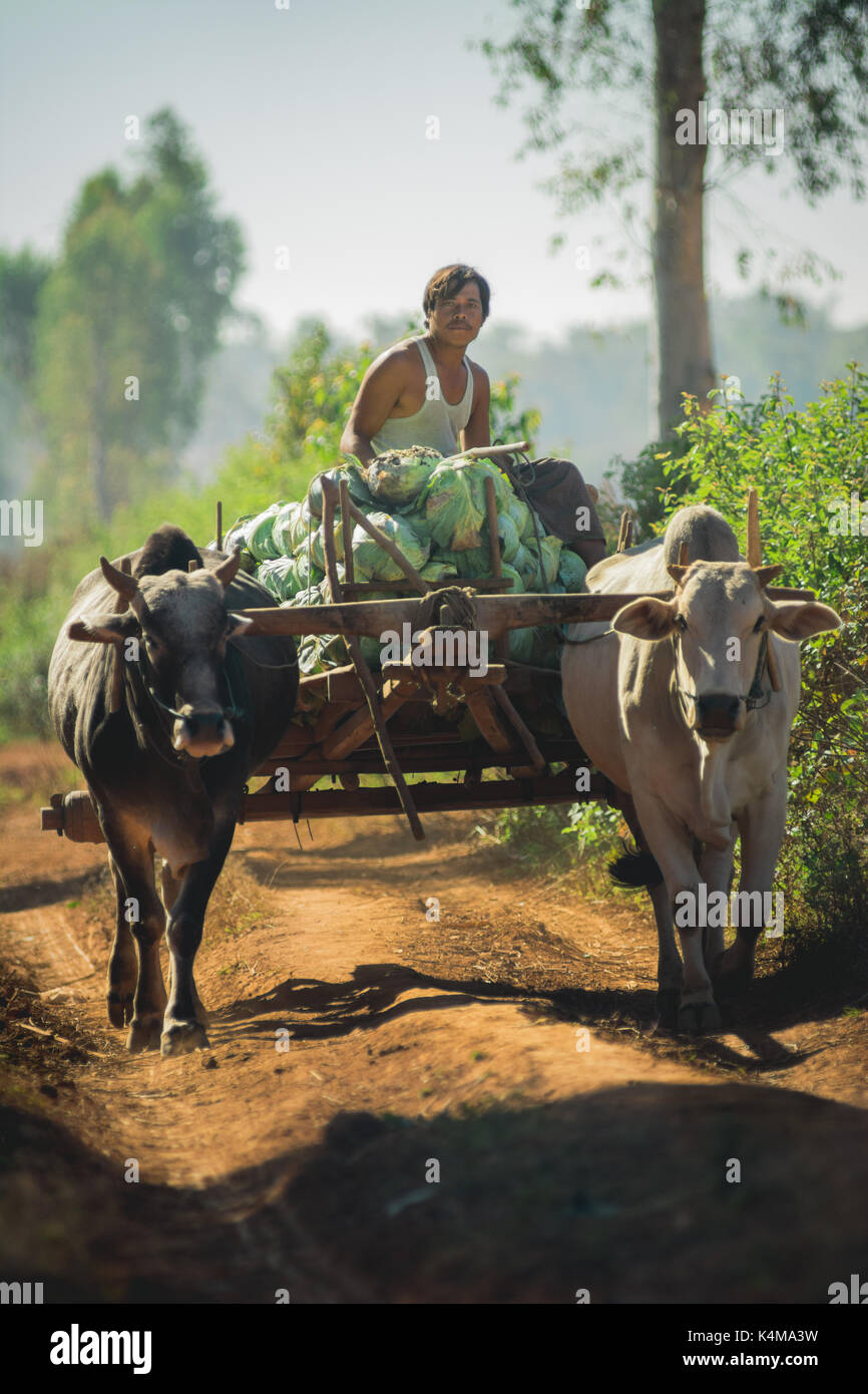 Lo Stato di Shan, Myanmar dic. 26, 2013. La vita reale nelle zone rurali lo Stato di Shan, MYANMAR Birmania. Foto Stock