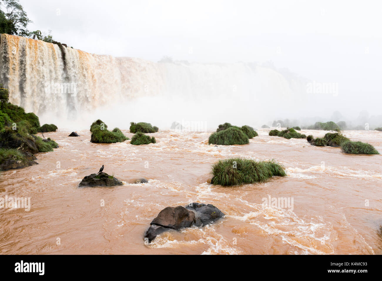 Iguazu Falls cascate superiore un fiume veiw dal Brasile Foto Stock