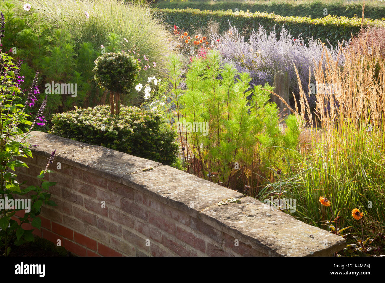 Brightwater giardini, Saxby, Lincolnshire, Regno Unito. Estate, Agosto 2017. Foto Stock