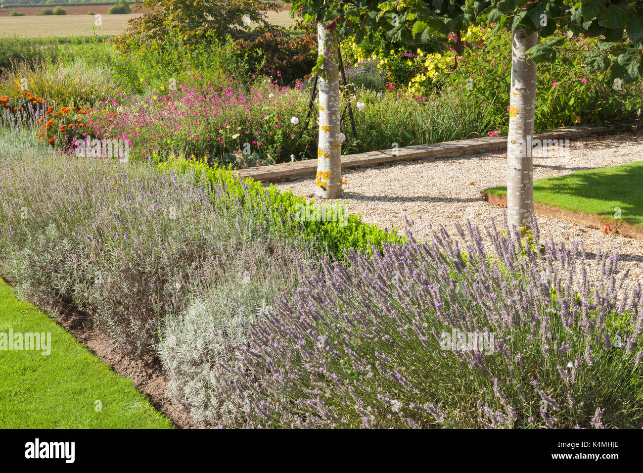 Brightwater giardini, Saxby, Lincolnshire, Regno Unito. Estate, Agosto 2017. Foto Stock