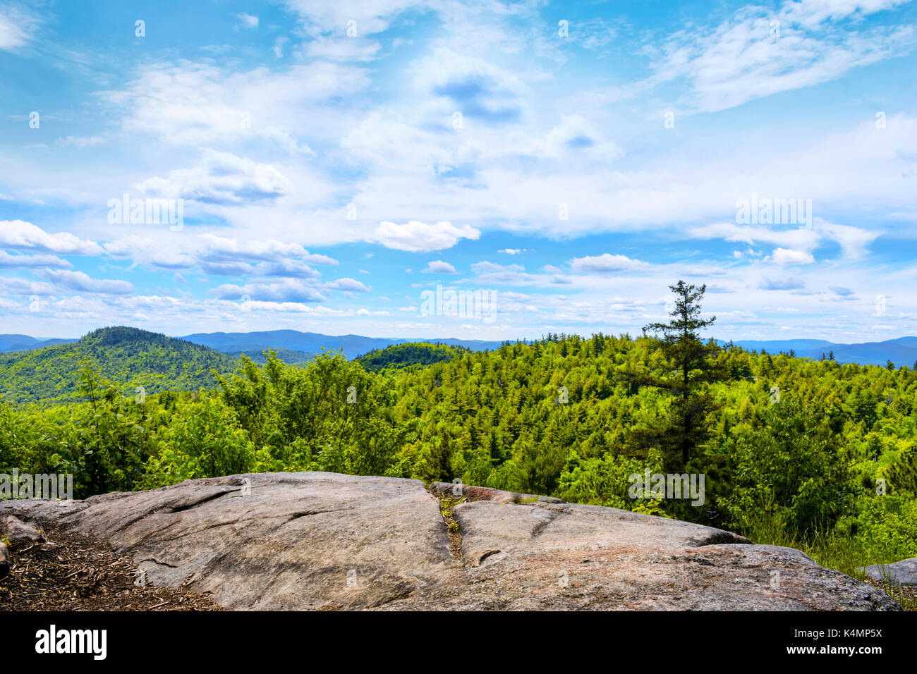 New york Montagne Adirondack scenic vista della foresta dalla vetta della montagna di Thomas a Bolton, Lake George area warren county new york, Stati Uniti d'America. Foto Stock