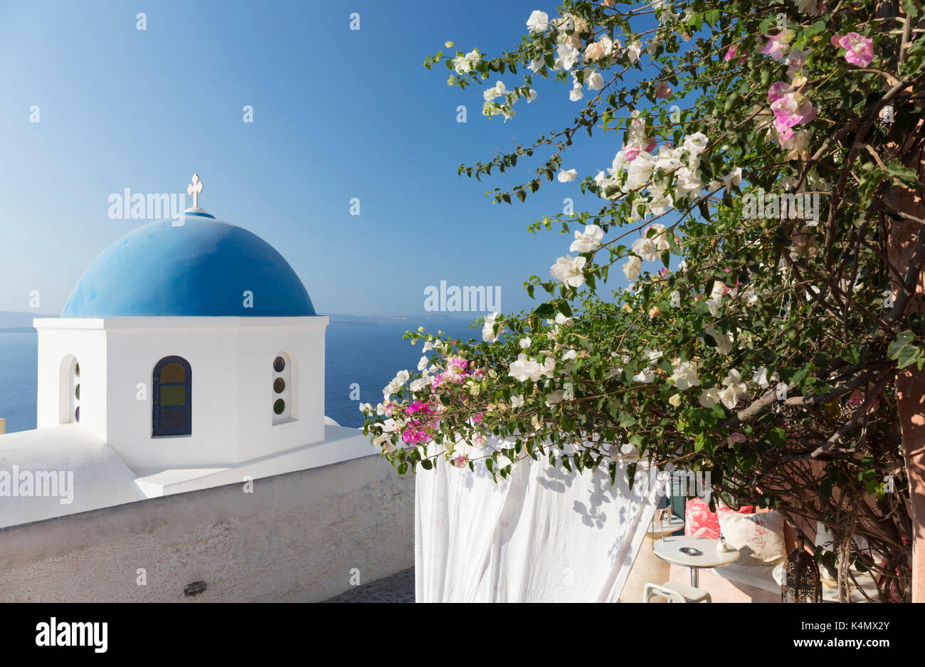 Chiesa bianca con cupola blu e fiori, Oia - Santorini, Cicladi, isole greche, Grecia, Europa Foto Stock